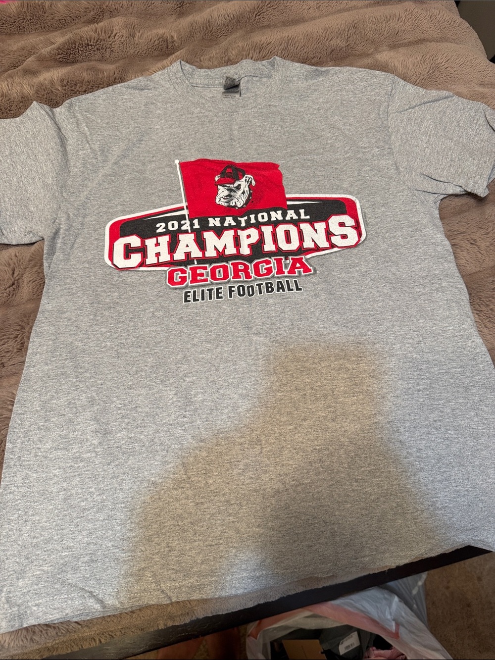 Gildan Gray Georgia 2021 National Champions Graphic Tee